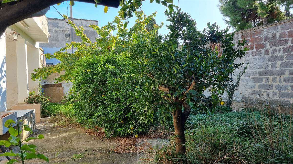 Giardino