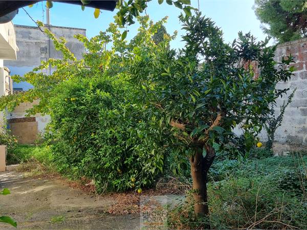 CASA INDIPENDENTE CON GIARDINO